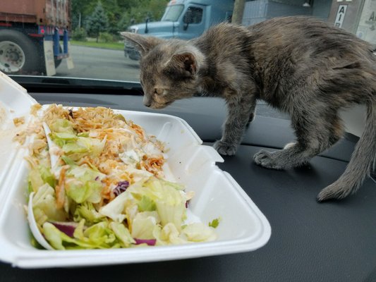 Sammy’s Halal Food by null