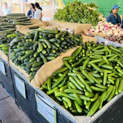 Apni Mandi Farmers Market - Fresh Produce