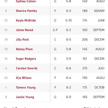 Las Vegas Aces - Professional Sports Teams Near Me - Las Vegas, Nevada Las Vegas Aces - Professional Sports Teams Near Me - Las Vegas, Nevada