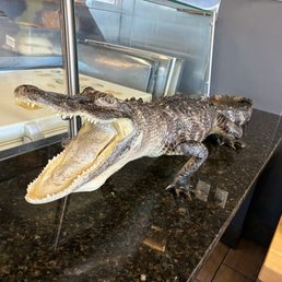 Are you hungry? Are you hungry?