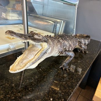 Florida Boy Burger - Are you hungry? - Burgers Near Me - Cape Coral, Florida Florida Boy Burger - Are you hungry? - Burgers Near Me - Cape Coral, Florida