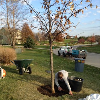Arborscape Tree Care - Tree Services Near Me