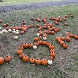 Hozak Farms