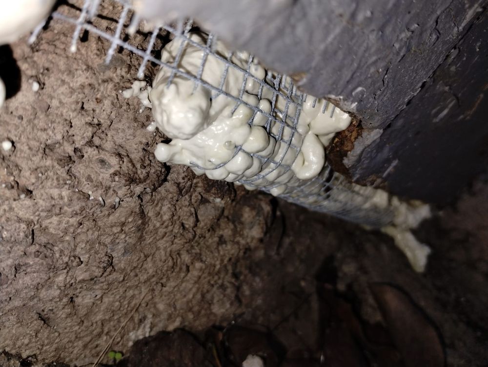 PRO ATTIC - B GREEN - Updated May 2024 - 327 Photos \u0026 21 Reviews - 3558 ...