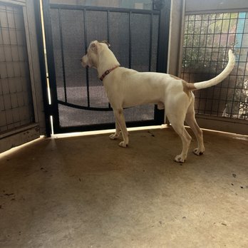 Maui Humane Society - Animal Shelters Near Me - Puunene, Hawaii