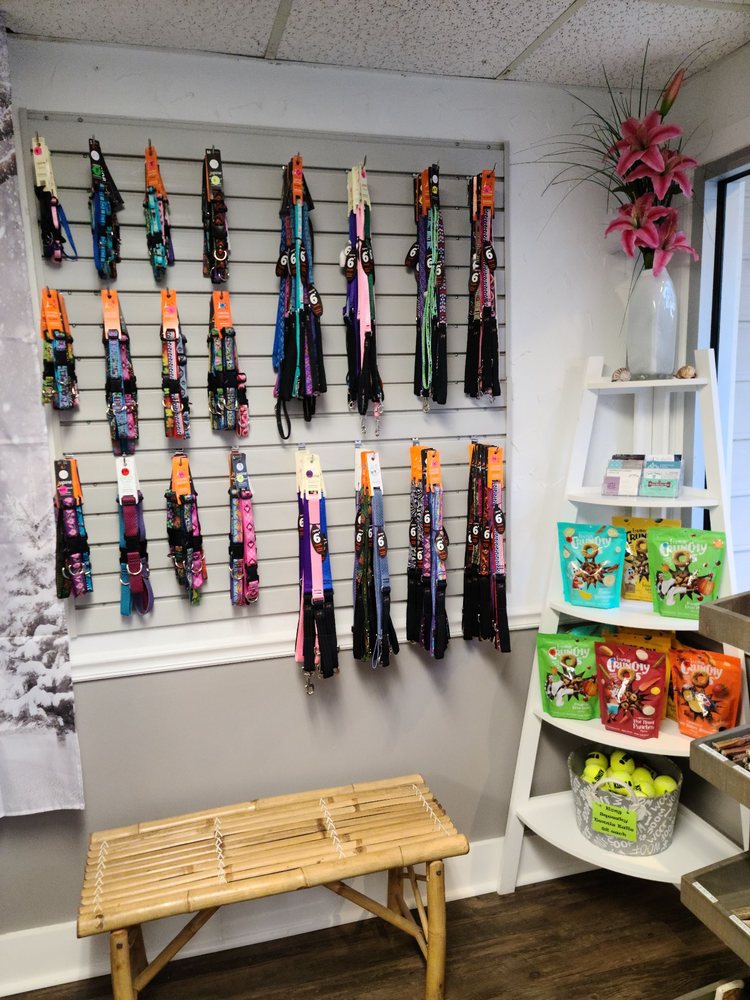 PAWS IN PARADISE Updated August 2024 22 Photos & 37 Reviews 1058