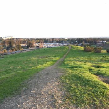 Vista Slope - looking South, you can just make out Hanger 1 and the NAC in the distance - Parks Near Me - Mountain View, California