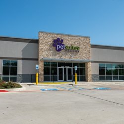 PetSuites Murphy