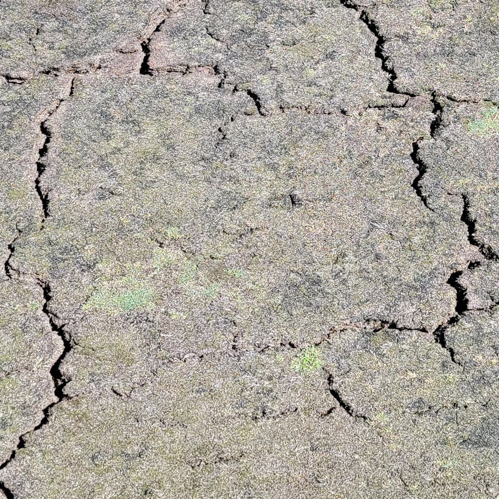 CEDARS GOLF CLUB Updated August 2024 33 Photos & 45 Reviews 15001