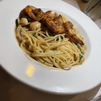 Bernini - Shrimp scampi - Italian Near Me - Tampa, Florida Bernini - Shrimp scampi - Italian Near Me - Tampa, Florida