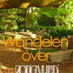 Zorgvlied