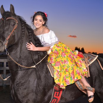 Gala Events - Another real horse provided by Osvaldo - Wedding Planning Near Me - San Jose, California Gala Events - Another real horse provided by Osvaldo - Wedding Planning Near Me - San Jose, California
