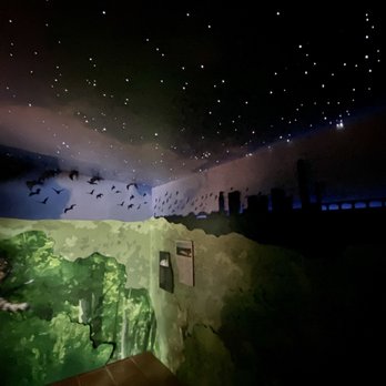 McKinney Falls State Park - The dark room with the bats in the visitors center. - Parks Near Me - Austin, Texas McKinney Falls State Park - The dark room with the bats in the visitors center. - Parks Near Me - Austin, Texas