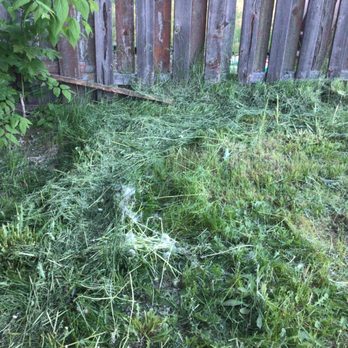 Legend Lawn Care - Paid for weed whacking, and mowing, they didn't do it - Lawn Services Near Me Legend Lawn Care - Paid for weed whacking, and mowing, they didn't do it - Lawn Services Near Me