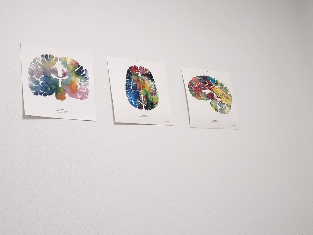 Anesc - sleep specialist in El Paso, TX