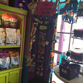 Sweetpeas Posh Pets - Kitty collars! - Pet Stores Near Me - Gulf Shores, Alabama Sweetpeas Posh Pets - Kitty collars! - Pet Stores Near Me - Gulf Shores, Alabama