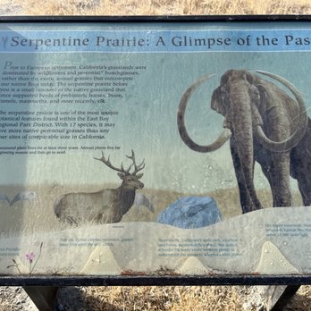 Joaquin Miller Park - History - Parks Near Me - Oakland, California Joaquin Miller Park - History - Parks Near Me - Oakland, California