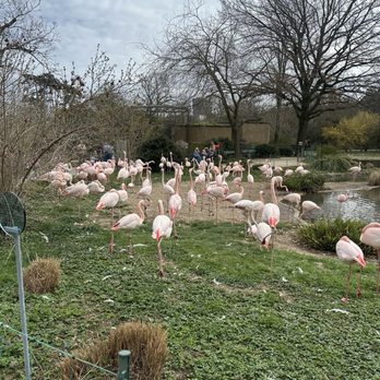 Zoo Basel - Zoos Near Me - Basle, BS
