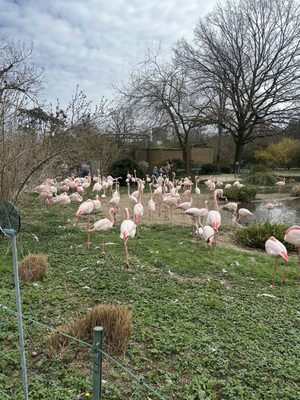 Zoo Basel by null
