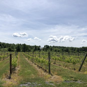 Whitecliff Vineyard - vineyard ! - Wineries Near Me - Gardiner, New York Whitecliff Vineyard - vineyard ! - Wineries Near Me - Gardiner, New York