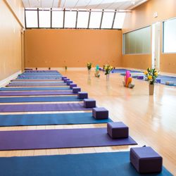 Updog Yoga - UpDog Main Yoga Practice Room