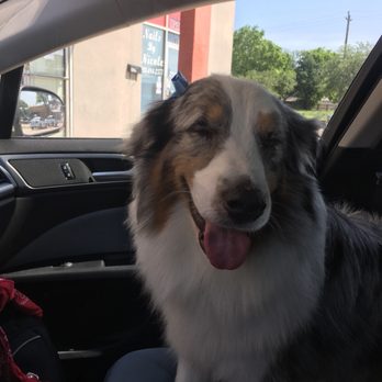 Best Friends Boutique - Pet Groomers Near Me - Houston, Texas Best Friends Boutique - Pet Groomers Near Me - Houston, Texas