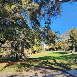 Strawberry Creek Park - Picnic areas
