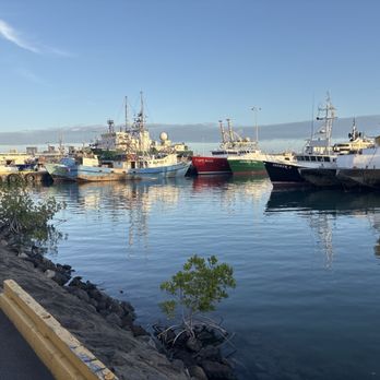 Nico's Pier 38 - Restaurant's view - Seafood Near Me - Honolulu, Hawaii Nico's Pier 38 - Restaurant's view - Seafood Near Me - Honolulu, Hawaii