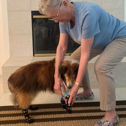 Correctly bending to address dogs feet