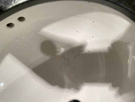 Hotel Le Soleil by null