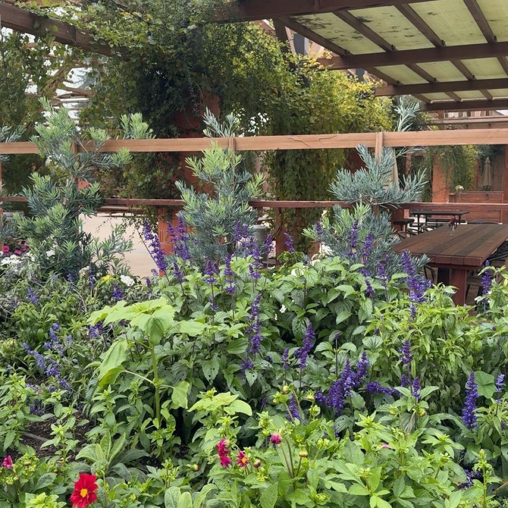 Clark Ferrea Winery - outdoors - Wineries Near Me - Escalon, California Clark Ferrea Winery - outdoors - Wineries Near Me - Escalon, California