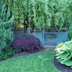 Plants and Pleasantrees