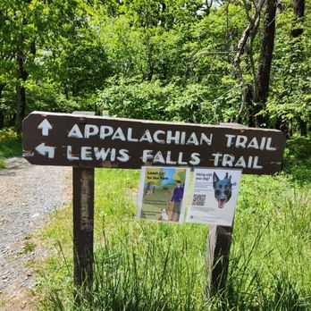 Lewis Falls - Trailhead from inside Big meadows Campground by the amphitheater. - Hiking Near Me - Elkton, Virginia