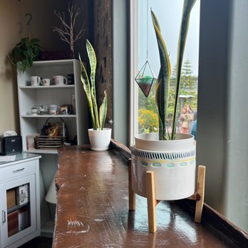 Luna Coffee Bar - Coffee & Tea Near Me - Cayucos, California