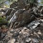 Photo of Crescenta Valley Park