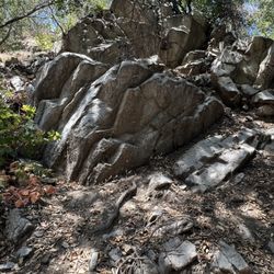 Crescenta Valley Park