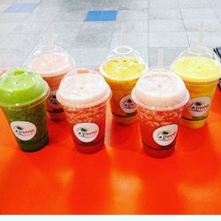 Noosa Juicer