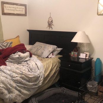 Villa Cristina - Messy bottom bedroom, sorry - Apartments Near Me - Tallahassee, Florida Villa Cristina - Messy bottom bedroom, sorry - Apartments Near Me - Tallahassee, Florida
