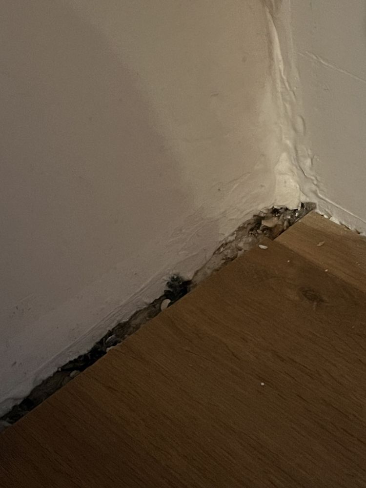 Radisson Paraiso Hotel México City