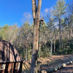 Barker & Son Tree Service