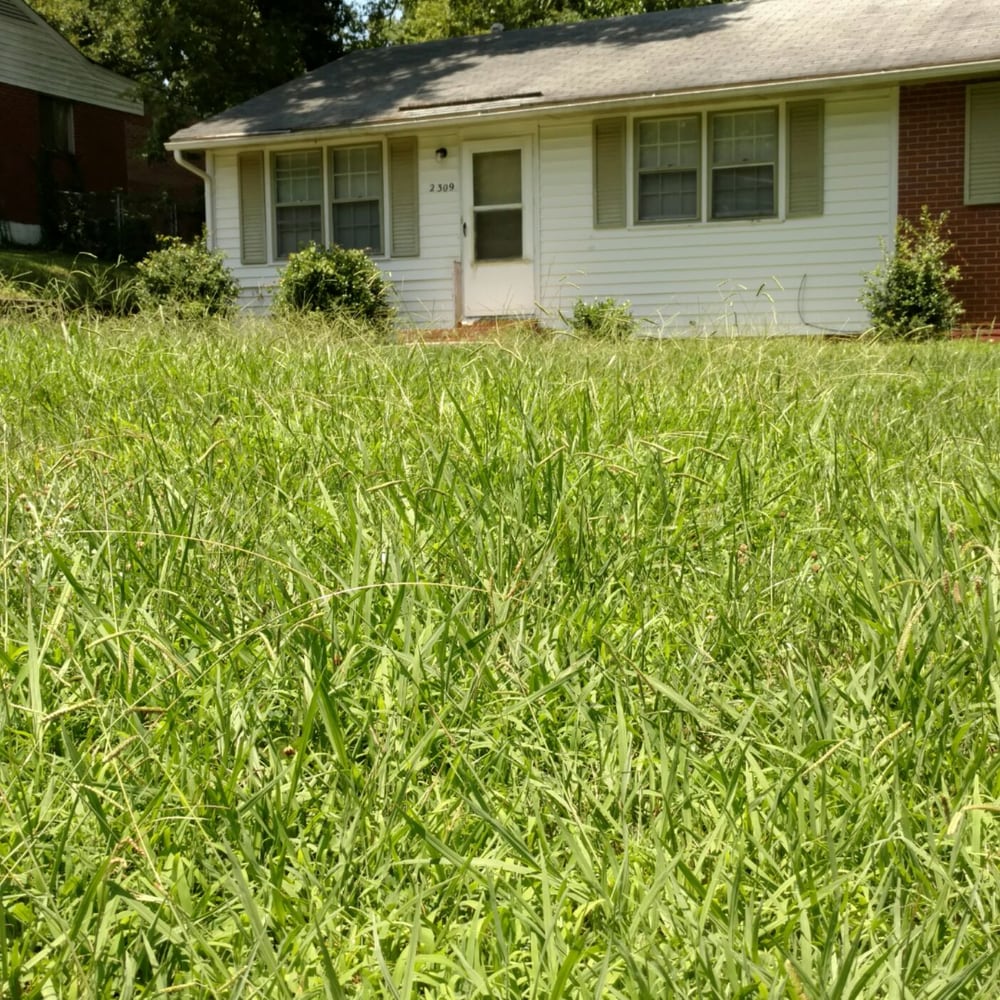 ADAMSON LAWN CARE Updated April 2024 Request a Quote Knightdale