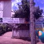 Photo of Floricultura Tuia Azul