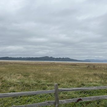 The Wandering Goose - Our view - Breakfast & Brunch Near Me - Tokeland, Washington The Wandering Goose - Our view - Breakfast & Brunch Near Me - Tokeland, Washington