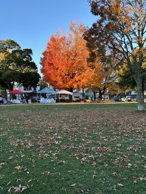 South Shore Farmers’ Market by null