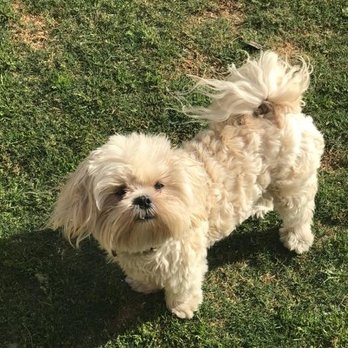 Circle H Veterinary Hospital - Lola Bunny - Veterinarians Near Me - Blythe, California Circle H Veterinary Hospital - Lola Bunny - Veterinarians Near Me - Blythe, California