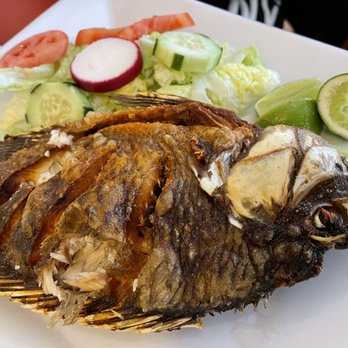 Las Vegas Bar Restaurant - grilled fish and vegetables - Mexican Near Me - Revere, Massachusetts Las Vegas Bar Restaurant - grilled fish and vegetables - Mexican Near Me - Revere, Massachusetts