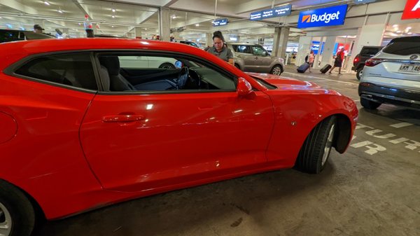 DOLLAR CAR RENTAL 66 Photos amp - L