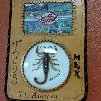 Taqueria El Alacran - Mexican Near Me - Ocoee, Florida