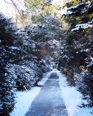 Bispebjerg Cemetery by null
