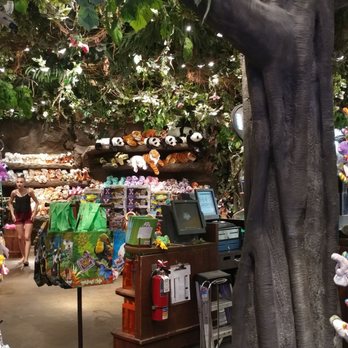 Rainforest Cafe - Gift shop - American Near Me - Edison, New Jersey Rainforest Cafe - Gift shop - American Near Me - Edison, New Jersey